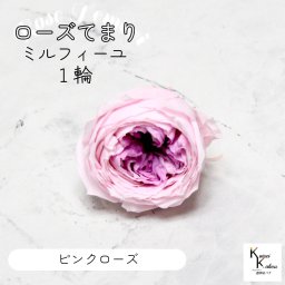 大地農園！プリザーブドフラワー 「ローズ・てまり・ミルフィーユ ピンクローズ 1輪」 プリザ 花材 ハーバリウム おしゃれ かわいい プレゼント 贈り物　オオチノウエン バラ 薔薇 ローズ rose