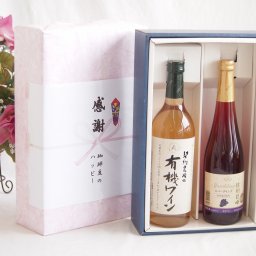 実りの秋の贈り物 感謝の贈り物ボックス有機栽培100%白ワインと国産ワインセット(信州巨峰スパークリングワイン やや甘口(長野県)500ml