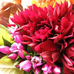 ダリア　花束風　フラワーアレンジメント　おまかせで安心　デザイナーにおまかせギフト　生花使用◆誕生日プレゼント・記念日のギフトにピッタリ♪