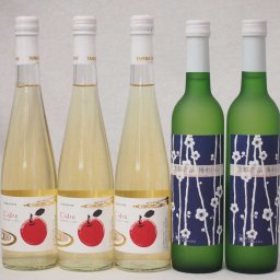 京都丹波フルーツワイン5本セット京都青谷梅わいん2本　Cider 青森弘前産りんご使用3本 計500ml×5本