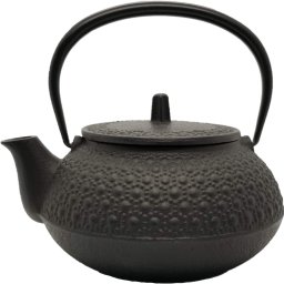 南部鉄器 鉄瓶兼用急須 5型新亀甲 (黒焼付) きっこう 0.65L(2～3人用／単品) 日本製 直火対応 黒 茶こし ホーロー加工なし 鉄瓶 鉄器急須 ティーポット 岩鋳 伝統工芸 ギフト 出産内祝い 新築内祝い 快気祝い 内祝い お礼 お返し 送料無料