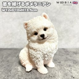 犬 置物 おしゃれ 首を傾げるポメラニアン かわいい 動物 小さいオブジェ インテリア woobia ウービア イヌ ガーデン トイレ 可愛い プレゼント 北欧 玄関 雑貨 モダン 面白い 庭 ギフト 屋外 家 リアル 卓上 ガーデンオーナメント
