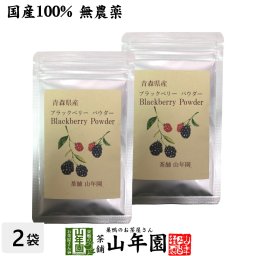 国産100% 青森県産 無農薬 無添加 ブラックベリー粉末 40g×2袋セット キイチゴ ポリフェノール アントシアニン ビタミン 健康食品 妊婦 ダイエット セット ギフト プレゼント プチギフト お茶 敬老の日 2026 内祝い お返し