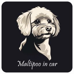 ドッグ カーステッカー イラスト付 Dog in Car マルプー Bタイプ セーフティサイン 犬種別 正方形 13x13cm シール リア あおり運転対策 Dog Sticker 屋外 屋内 防水 かわいい おしゃれ 安全対策 カーサイン
