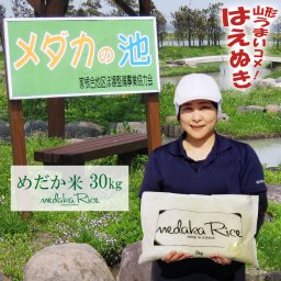 めだか米 30kg (5kg×6袋) 山形県産 はえぬき 令和8年産
