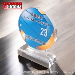 ドッジボール トロフィー ドッジボール部 クラブ 優勝記念 卒団記念 卒部記念 記念品 表彰 スポーツ大会 カラー盾 オリジナルデザイン ギフト 名入れ プレゼント オリジナルグッズ チームの記念品 おしゃれ 景品 参加賞 贈り物 誕生日 高さ82mm 横65mm
