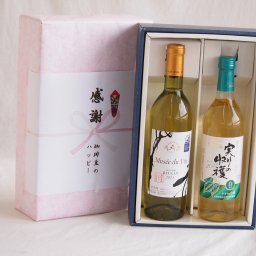 実りの秋の贈り物 感謝の贈り物ボックス 長野県産善光寺竜眼白葡萄100%と国産ワインセット(実りの収穫 白辛口ワイン 辛口(山梨県)720mlミュゼドゥヴァン 善光寺竜眼白ワイン(長野県) 720ml