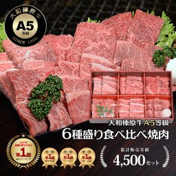 6種盛り 焼肉セット 大和榛原牛 A5 店長おまかせ 食べ比べ 600g（100g×6部位） 化粧箱入 黒毛和牛 焼き肉やきにくヤキニク 内祝い お祝い お礼 誕生日 プレゼント 牛肉 肉【送料無料※北海道・沖縄除く】