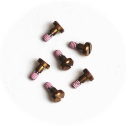 GST-B100G用ベゼルネジ(1セット6本)