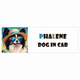 名入れ可 Phalene ファレーヌ 犬 カーステッカー シール DOG IN CAR 海 麦わら帽子 サングラス 夏 20x6.7cm 長方形 防水 屋外 屋内 車ステッカーステッカー 車 バイク サインステッカー カーサイン