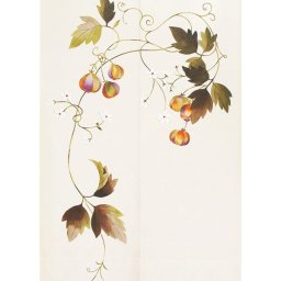 メール便送料無料　暖簾 のれん 85x150cm「フウセンカズラ」95149 日本製  間仕切り カーテン タペストリー 目隠し 玄関 階段 洗面所 キッチン 台所 部屋 仕切り 棚 パントリー