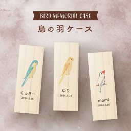 ギフトラッピング対応【 名入れ無料 メール便 送料無料 】 鳥の羽根ケース カラフル 絵 羽根 はね 鳥 とり インコ ヨウム アヒル ブンチョウ 九官鳥 オウム フクロウ カナリア メモリアル ペット お名前入り オリジナル 名入れ 保管 お守り 名前 かわいい プレゼント 箱 ケース 動物 思い出