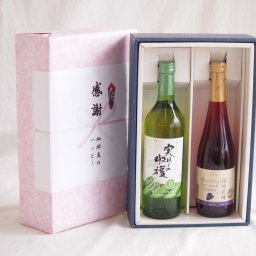 実りの秋の贈り物 感謝の贈り物ボックス 山梨県産デラウェア種甘口白ワインと国産ワインセット(信州巨峰スパークリングワイン やや甘口(長野県)500mlシャンモリ実りの収穫甘口白ワイン9度 775ml