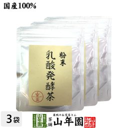 国産100% 静岡県掛川産 乳酸発酵茶 40g×3袋セット 後発酵茶 健康茶 妊婦 ダイエット セット ギフト プレゼント プチギフト お茶 敬老の日 2026 内祝い お返し