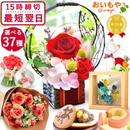 敬老の日 すぐ贈れるギフト 即日発送 誕生日 プレゼント ギフト 花 プリザーブドフラワー ガラスドーム ミニ インテリア リース 猫 バラ 花束 シャボン ソープフラワー 枯れない かわいい スイーツ お菓子 和菓子 洋菓子 メッセージ入り 2000円 3000円 もらって嬉しい センスがいい おしゃれ 40代 50代 60代 70代 80代 女性 フラワーギフト