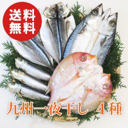【送料無料】九州一夜干し 4種セット（れんこ鯛、真サバ、真あじ、真いわし）【干物】【誕生日 結婚祝い 出産祝い 還暦祝い 結婚記念日 送別会 お祝い 引越し祝い 新築祝い 初節句 古希 喜寿 傘寿 お返し 内祝い お見舞い 快気祝い 金婚式 銀婚式 パーティー 景品 賞品 グルメ 母 父 女性 男性】【敬老の日 残暑見舞い】