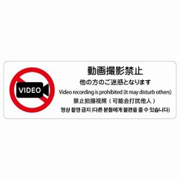 動画撮影禁止（他の方のご迷惑となります）  多言語 英語 中国語 韓国語 対応 サインステッカー シール 長方形 90x30cm 商業施設 飲食店 旅館 ホテル レンタル イベント表示 場所 掲示 案内板 ピクトサイン 防水 屋内 屋外