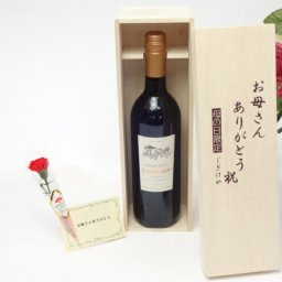 母の日 ギフトセット 赤ワインセット お母さんありがとう木箱セット(セレクション赤ワイン(フランス))母の日カード お母さんありがとうカーネイション