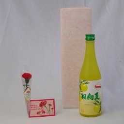 母の日 ギフトセット リキュールセット (爽やかな果肉の甘み日向夏みかんを使用 高千穂酒造 宮崎産日向夏みかん使用 日向夏 500ml(宮崎県)) 母の日カード お母さんありがとうカーネイション付き