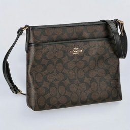 コーチ ショルダーバッグ レディース ブランド COACH シグネチャー 29210 IMAA8 1 ブラウン/ブラック