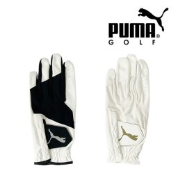 プーマ ゴルフ グローブ エントリー ゴルフグローブ 左手用 メンズ PUMA Golf 042000 お誕生日祝い お祝い 記念品 お父さん 父の日 彼氏 男性 30代 40代 50代 60代 還暦祝い 敬老の日 人気プレゼント プレゼント