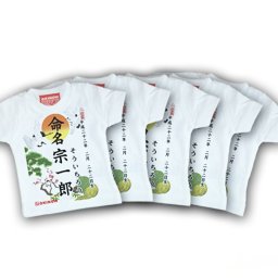 命名(名入れ)ミニT5枚セット【 名入れ無料 / ディスプレイ用 送料無料 】| 出産祝いにおすすめの名入れ商品 命名 命名書 名入れ無料 名入れインテリア ベビー服 子供服 ベビーギフト 100日祝い 内祝い 誕生日ギフト リンクコーデ 親子ペア 親子コーデ 赤ちゃん 初孫 ベビー ベビー服 子供服 新生児 人気ギフト コットン100% 誕生日プレゼント こどもの日 女の子 男の子