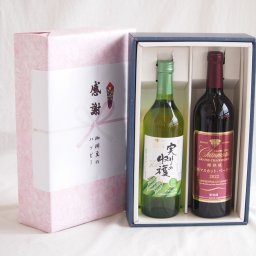 実りの秋の贈り物 感謝の贈り物ボックス 山梨県産デラウェア種甘口白ワインと国産ワインセット(樽熟成穂坂マスカットベーリーA赤ワイン ミディアム(山梨県)750mlシャンモリ実りの収穫甘口白ワイン9度 729ml