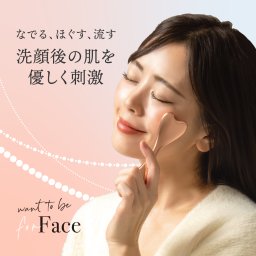 WTB フェイスローラー 美顔ローラー 美顔 フェイス フェイスケア リフトアップ 美容 マッサージ 顔 マッサージ器 ローラー コロコロ 簡単 自宅 コンパクト むくみ シワ ほうれい線 たるみ フェイスライン 小型 小さい ミニ 小顔 家 セラミック