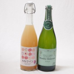 果物ワイン2本セット(アデカ ももワイン甘口 5度(千葉県) マディデラウエア スパークリングワイン9度(山梨県)) 720ml×1本 750ml×1本
