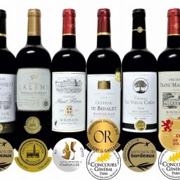 2セット ALL金賞受賞（ダブル金賞入）フランスボルドー産ソムリエ厳選赤ワイン８本セット×2セット 750ml×16本