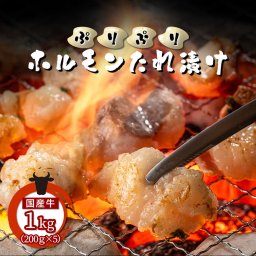 ホルモン焼き もつ焼き 国産牛ぷりぷりホルモン タレ漬け BBQ マルチョウ 焼肉 もつ焼き ホルモン焼き 冷凍 父の日 お中元 お歳暮 御歳暮 れいたす 早割 その他肉・肉加工品 送料無料