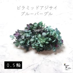 宅急便で発送 大地農園！プリザーブドフラワー 「ピラミッドアジサイ・ヘッド（グラデーション） ブルーパープル 0.5輪分」 プリザ アジサイ 紫陽花 花材 ハーバリウム おしゃれ かわいい プレゼント 贈り物 オオチノウエン ピラミッドアジサイ