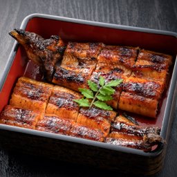 金松うなぎ 宮崎県産 特大鰻の蒲焼 たれ 山椒付き うなぎの蒲焼 冷凍 鰻 おかず 惣菜 国産 ウナギ
