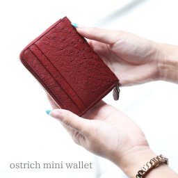 オーストリッチ コンパクト 財布 レディース 女性 ミニ財布 【ネコポスで送料無料】 ミニ コンパクト財布 小さい 小さめ 小さい財布 カード入れ ミニウォレット 本革 革 コインケース 母 親 使いやすい プレゼント ギフト 4F (06001773r) クリスマス 母の日 春財布 定年退職 バレンタイン 成人祝い