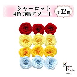 大地農園！プリザーブドフラワー「シャーロット 4色×3輪アソート 計12輪」「クイーンレッド モーニングイエロー ミモザイエロー ベビーブルー」プリザ 花材 ハーバリウム おしゃれ ピンク バラ かわいい プレゼント 贈り物 オオチノウエン