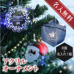 【名入れ】 オーナメント名入れ 名前 ギフト オーナメント 雪結晶 トナカイ 名前入り アクリルギフト かわいい 《アクリルオーナメント9個セット(8個＋名入れ1個)》 翌営業日出荷