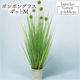 フェイクグリーン ポンポングラス 通販 フェイク グリーン 人工観葉植物 インテリアグリーン イミテーショングリーン インテリアプランツ 人工樹木 ポット 鉢植え アーティフィシャルグリーン 人工植物 おしゃれ リビング 寝室 インテリア雑貨 GLA-1394