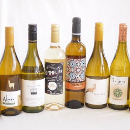 余韻に酔いしれるシャルドネ白ワイン8本セット(アルパカ ネセミヨン辛口Alc.12.5%(チリ) ノルテ スルAlc.13%(スペイン) デル スール辛口Alc.13%(チリ) ヴィーニャ サン エステバン クラシックAlc.13%(チリ) ソムリエAl