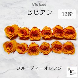 大地農園！プリザーブドフラワー 「ビビアン フルーティーオレンジ 12輪」  プリザ 花材 ハーバリウム  おしゃれ かわいい プレゼント 贈り物 オオチノウエン バラ 薔薇 ローズ rose