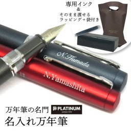 【名入れ無料】TVで紹介 万年筆 豪華ケース入れ プラチナ万年筆 プロシオン PNS-5000 インクカートリッジ付 ラッピング 入学祝 就職祝 プレゼントに 父の日 母の日 漫画家愛用 摩擦感を残した万能万年筆