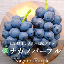 長野県産 ナガノパープル 2房セット ｜ 1房約450-500g 国産 ｜ フルーツ ギフト プレゼント お礼 お祝い お見舞い
