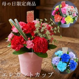 【母の日】エレガントカップ 送料無料 カーネーション  ギフト プレゼント 数量限定 生花 おすすめ 人気 かわいい 素敵 笑顔 お祝い 感謝 花 母 お母さん ありがとう ■フラワーアレンジメント■ 