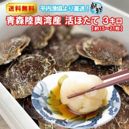 活ほたて 青森陸奥湾 平内産 3キロ（貝ベラ・調理レシピ付き） 海鮮 ギフト 贈り物 お中元 プレゼント