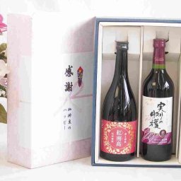 実りの秋の贈り物 感謝の贈り物ボックス 香る南高梅酒 紅南高と国産ワインセット(実りの収穫 赤ワイン やや甘口(山梨県)720ml紅南高 紀州梅酒(和歌山県)720ml