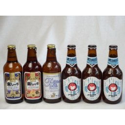 クラフトビールパーティ6本セット　プラチナエール330ml　金しゃちピルスナー330ml　金しゃちアルト330ml　常陸野ネストホワイトエール330ml×3