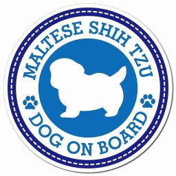 MALTESE SHIH TZU マルシーズー ブルー 肉球 カーサイン 車 マグネットステッカー 犬 マグネット 強力 直径13cm 丸型 おしゃれ かわいい ドラレコステッカー 安全対策 危険運転 煽り運転 アニマル 動物 犬種別 屋外 防水 屋内 肉球マーク