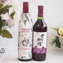 イタリア黒葡萄品種赤ワインと国産ワインセット(実りの収穫 赤ワイン やや甘口(山梨県)720mlフォレスタ ナティヴァ ネグロ・アマーロ赤ワイン (イタリア) 750ml