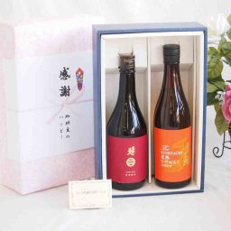 贈り物南部美人特別純米(岩手県)720mlギフトセット 金鯱酒造完熟ひやおろし本醸造(愛知県)720ml