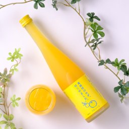敬老の日【送料無料】【フルーツのお酒】ゆず梅酒 馬路村のゆず、はじめました。500ml 梅酒 ゆず 柚子 リキュール 篠崎 ラッピング 熨斗 送料無料(北海道、沖縄を除く)