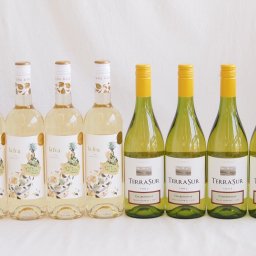 産地別白ワインシャルドネ8本セット(テラスル(チリ) ラ フェア ヴィウラ(スペイン)) 750ml×8本